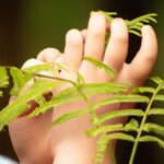 exploracion de la naturaleza en primaria